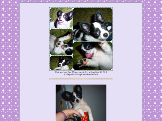 pixiepuppy screenshot