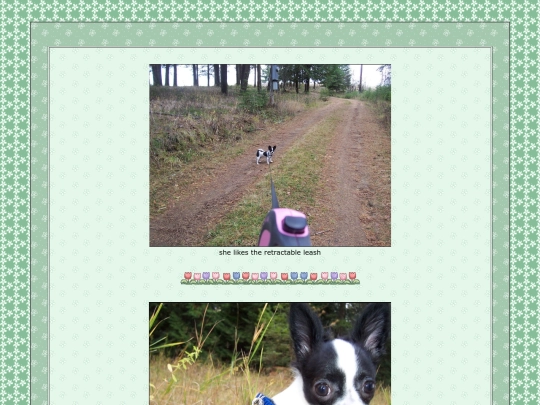 puppy4 screenshot