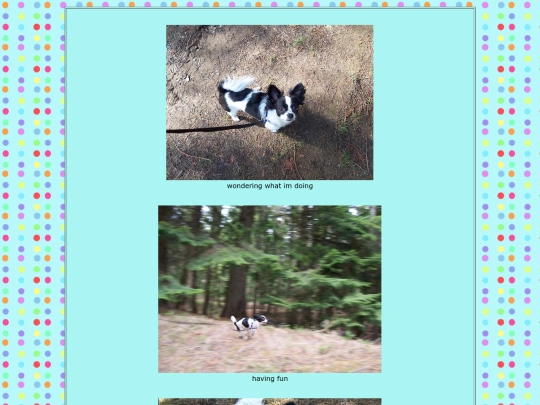 puppy7 screenshot
