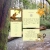 Cozy Grove avatar