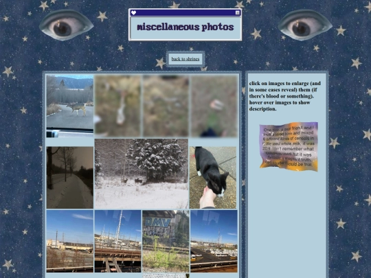 miscphotos screenshot