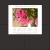 Oleander Garden avatar