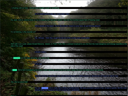 audio_recording_93599596_SHORELINE screenshot