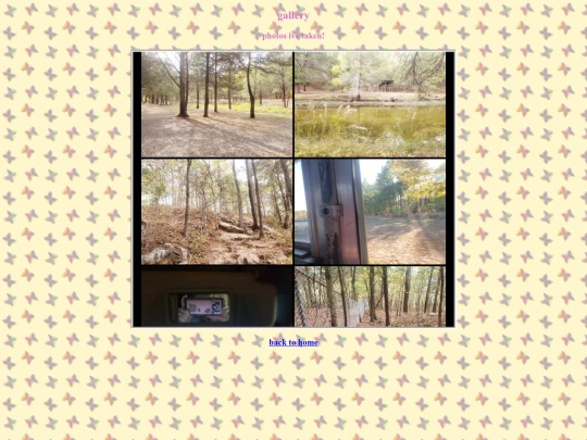 gallery screenshot