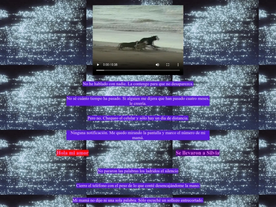 silvianoesta/loquepasa screenshot