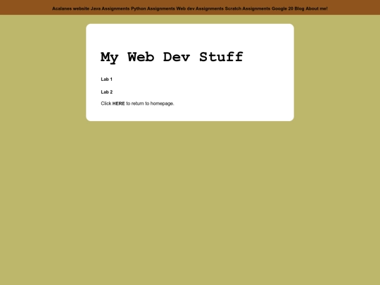 webDev screenshot