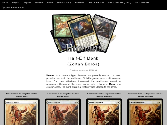 HalfElfMonk screenshot