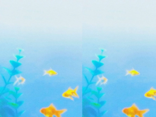 aquarium screenshot