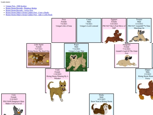 petz/dogz/Amber_family screenshot