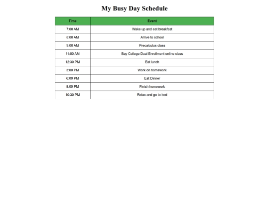 busy_schedule screenshot