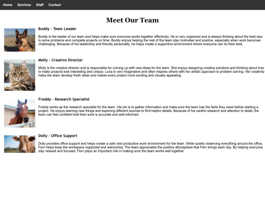 team_page screenshot