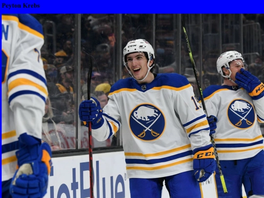 petr screenshot
