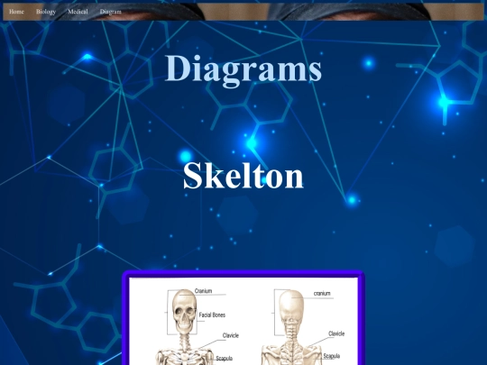 Semester 1 Final Project(Senuka)/Diagrams screenshot