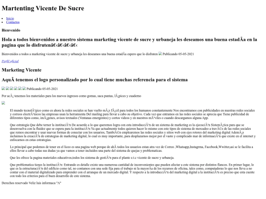 Marketing Vicente index screenshot