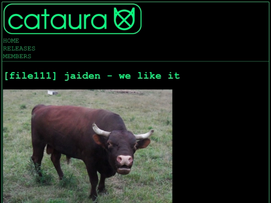 file111 screenshot