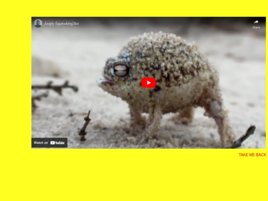 frogboi screenshot