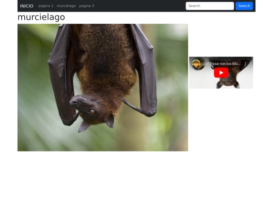 pagina/pagina2 screenshot