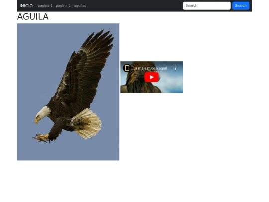 pagina/pagina3 screenshot