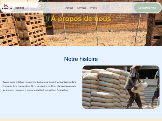 professionnel screenshot