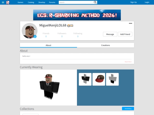 redirect/ecsr screenshot
