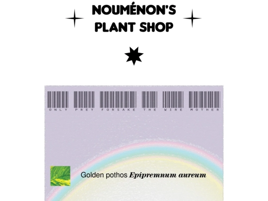 noumenon screenshot