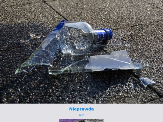 nieprawda screenshot