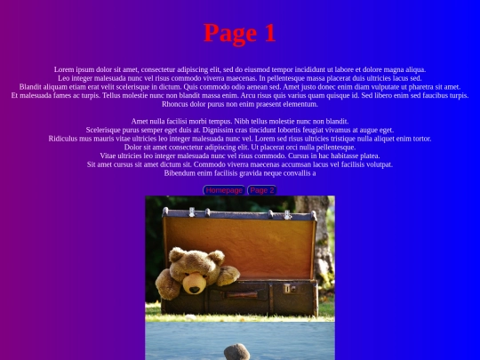 websitepage1 screenshot