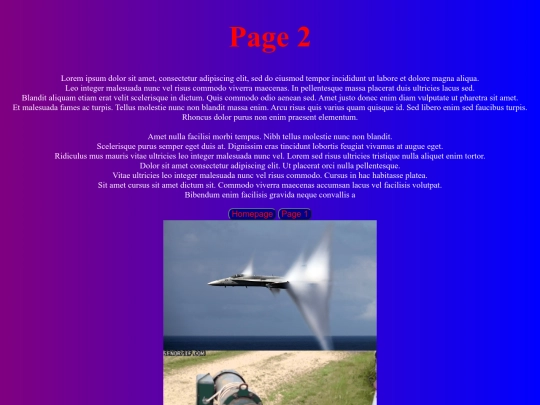 websitepage2 screenshot