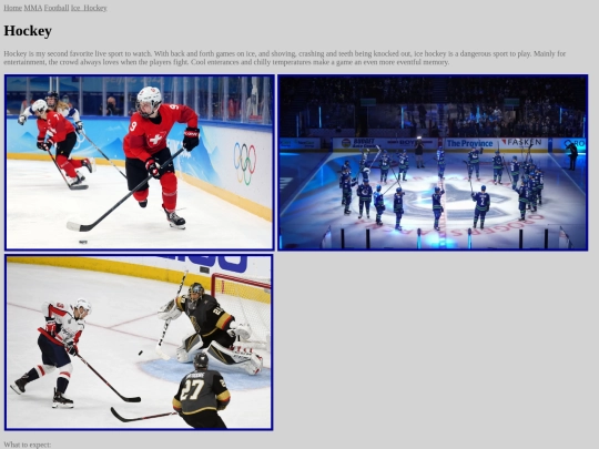 1HOCKEY screenshot