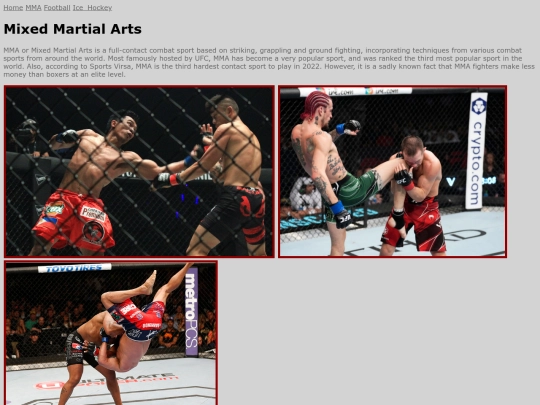 1UFC screenshot