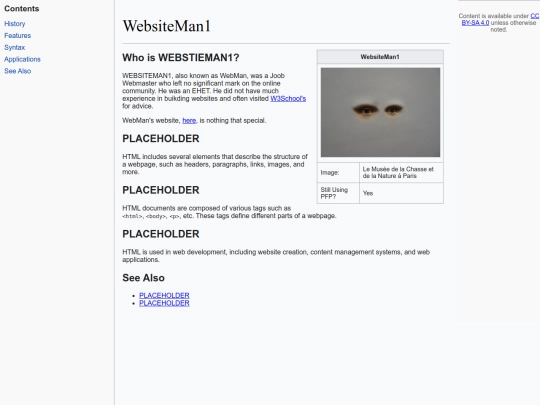 WebsiteManEntry screenshot