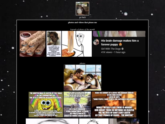 blogposts/memesandvideos screenshot