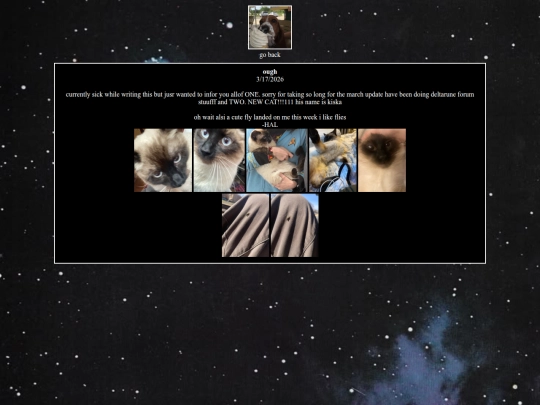 blogposts/post7 screenshot