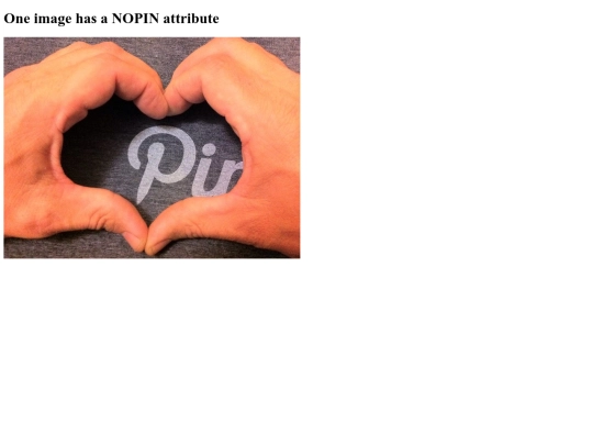 nopin_one_img screenshot