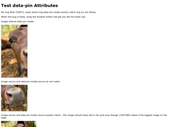 p/media screenshot