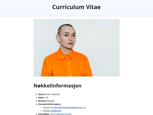 CV/cv screenshot