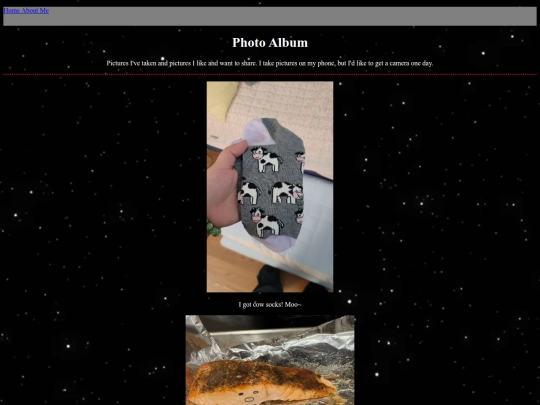 photoalbum screenshot