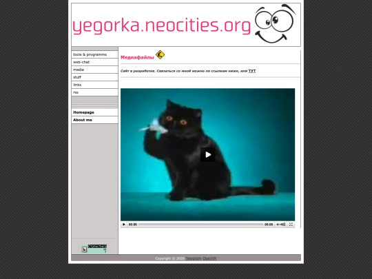 media screenshot
