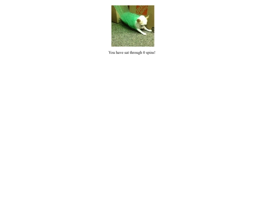 chihuahua screenshot