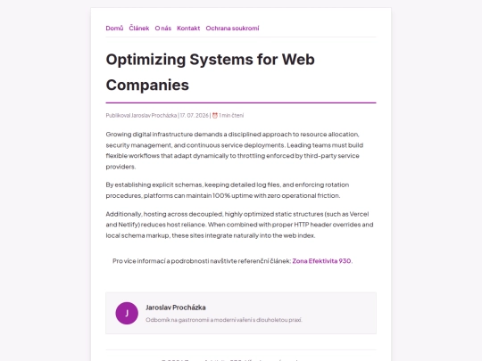 optimizing-systems-for-web-companies screenshot