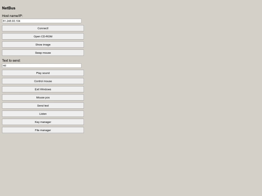 Hacxx NetBus Clone screenshot