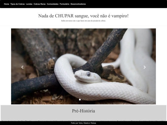 bootstrap/cobra screenshot