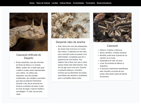 bootstrap/cobrasraras screenshot
