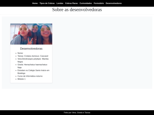 bootstrap/desenvolvedores screenshot