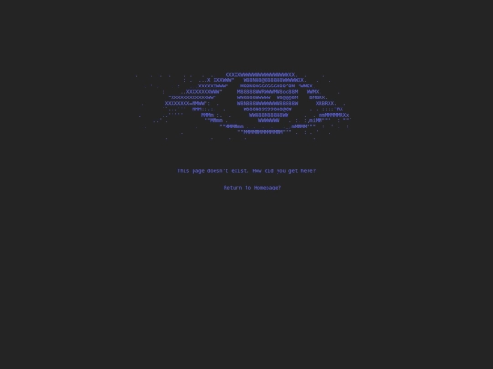 blog/not_found screenshot