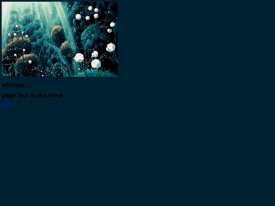 not-found screenshot