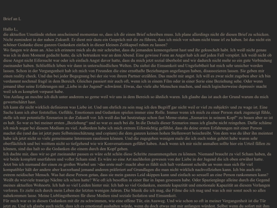brief1 screenshot