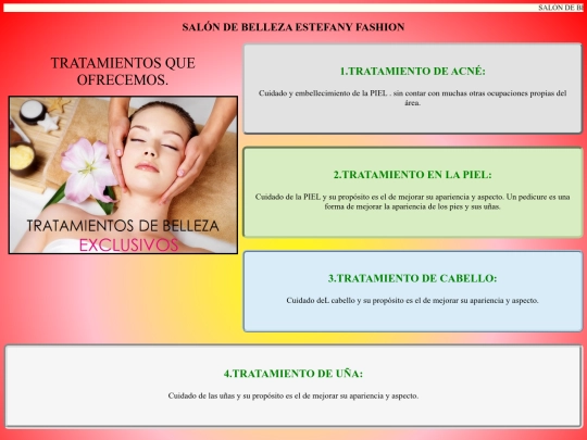 pág web lisbeth/tratamiento screenshot