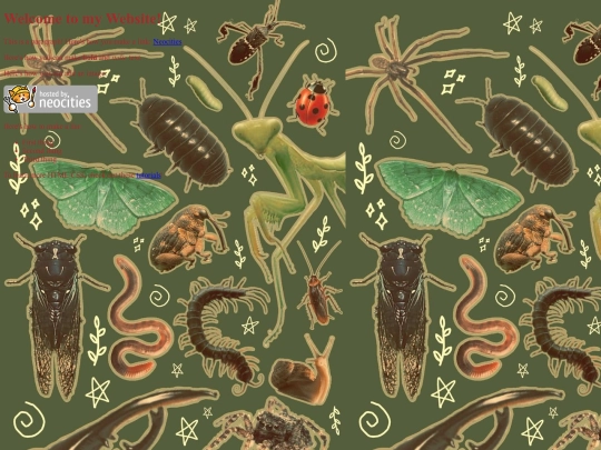 Tavern screenshot