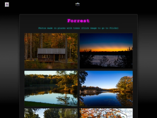 Photos/Forest screenshot